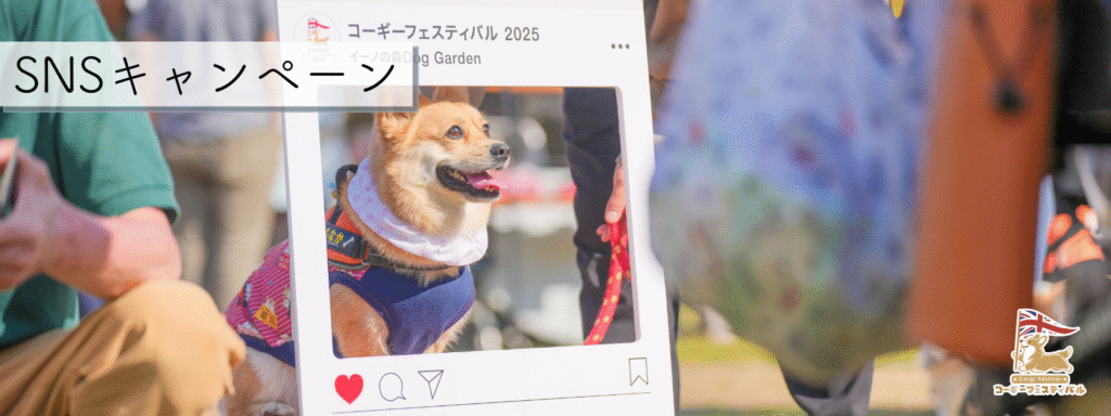 SNSキャンペーン