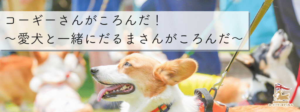 コーギーさんがころんだ！ 〜愛犬と一緒にだるまさんがころんだ〜
