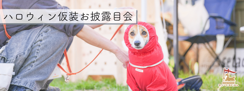 ハロウィン仮装お披露目会