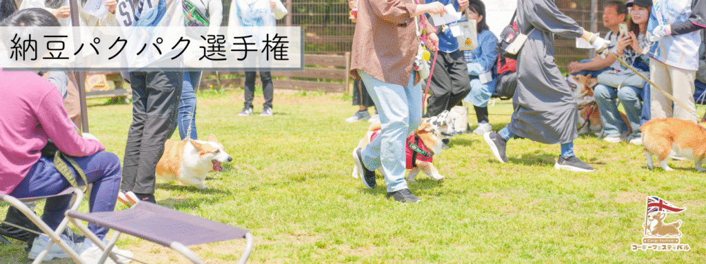 納豆パクパク選手権