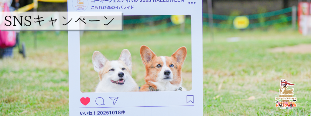 SNSキャンペーン