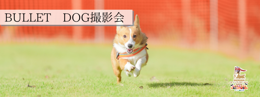 BULLET DOG撮影会