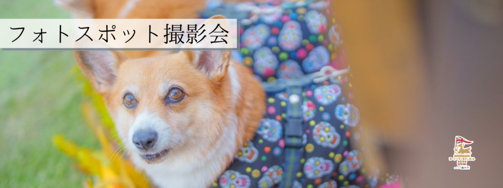 フォトスポット撮影会