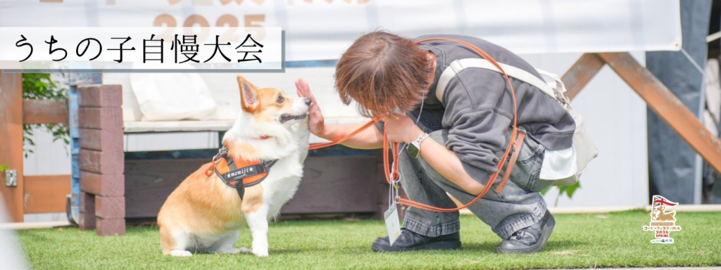 うちの子自慢大会