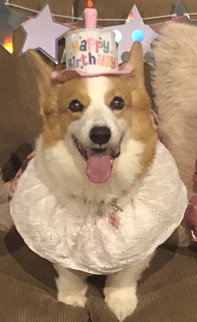 ももちゃん