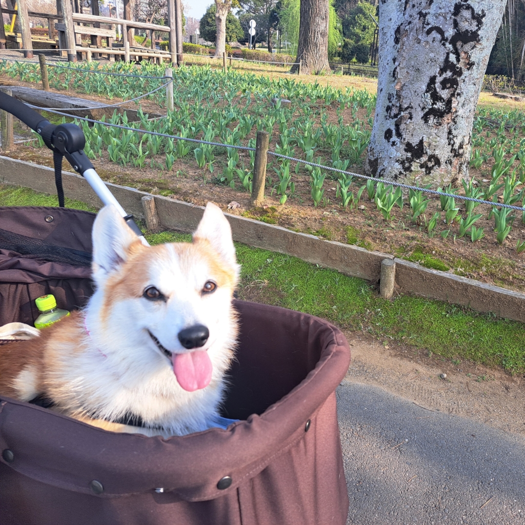島貫　ゆずちゃん