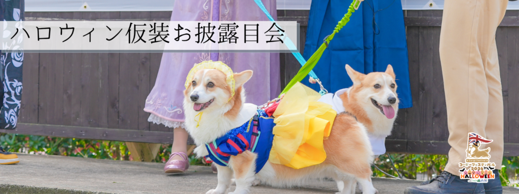 ハロウィン仮装お披露目会