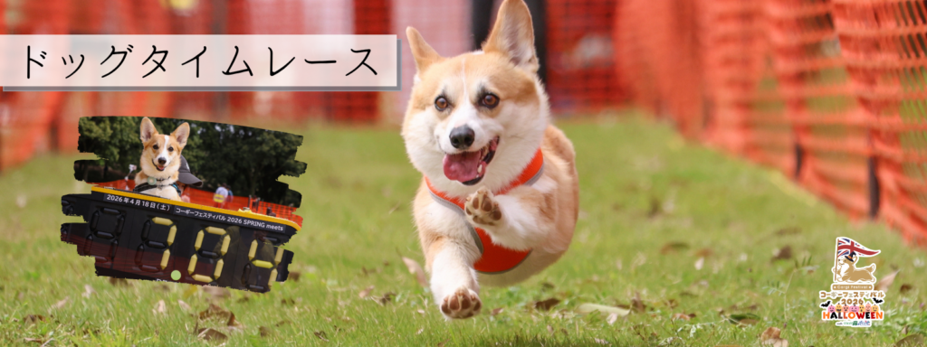 ドッグタイムレース