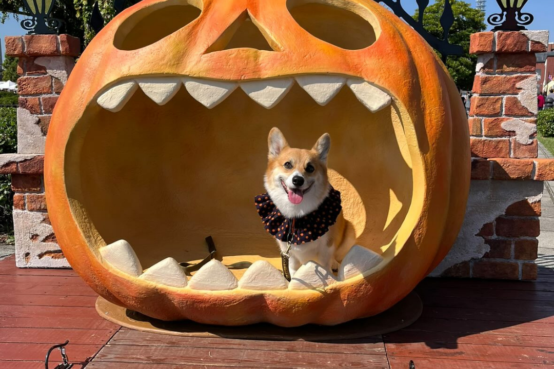 CORGI コーギー　 100周年　フライトコレクション　ライト兄弟 CORGI コーギー 100周年 フライトコレクション ライト兄弟