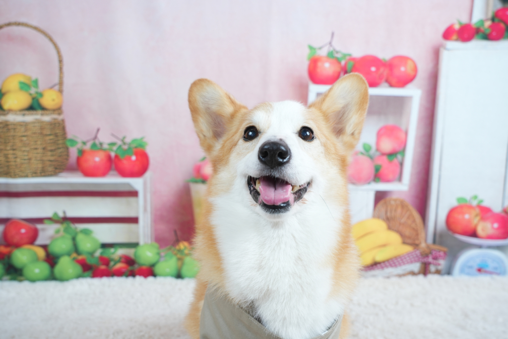 まんじゅうちゃん