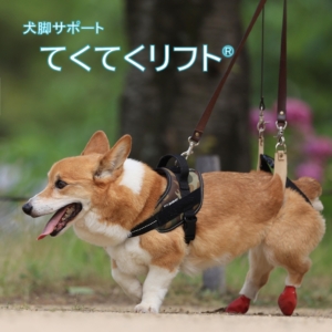 てくてくリフト