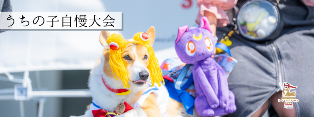 うちの子自慢大会@大阪北港マリーナ