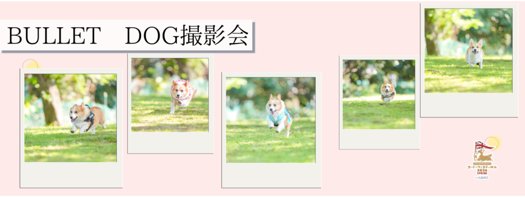 BULLET DOG撮影会@大阪北港マリーナ