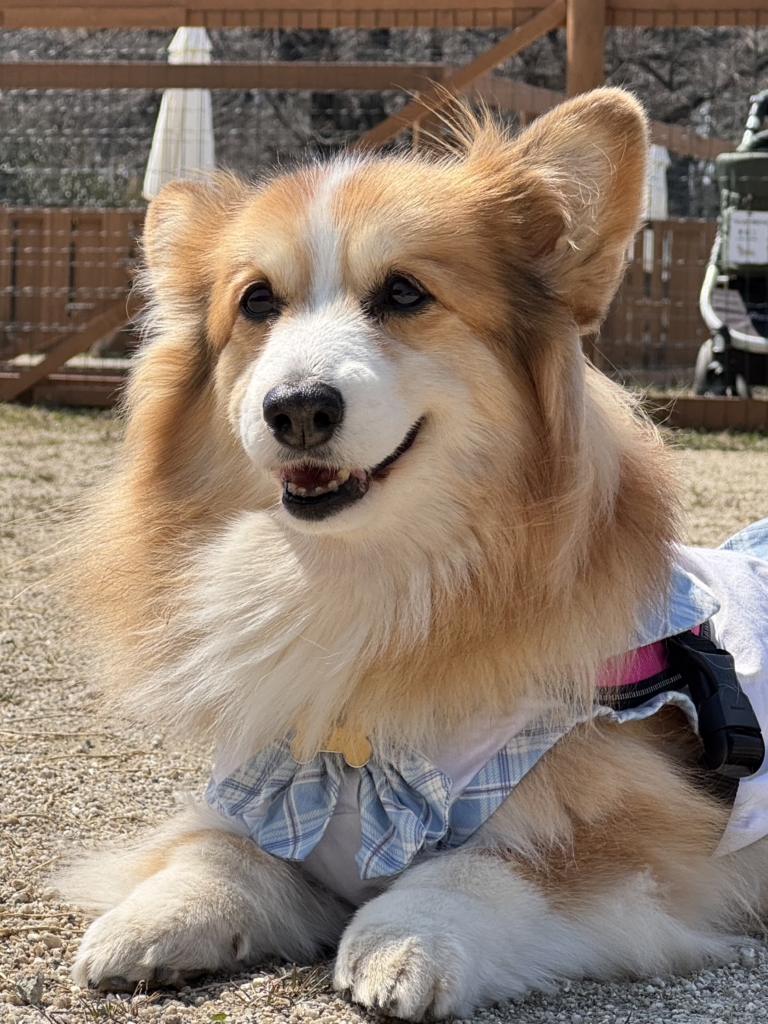 ととちゃん