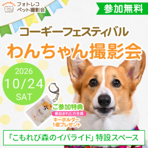 フォトレコペット撮影会＠HALLOWEEN