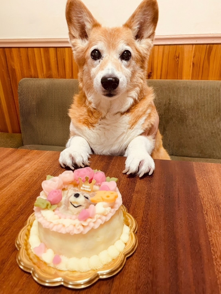 ミミちゃん