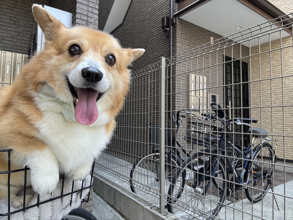 ハッピーくん