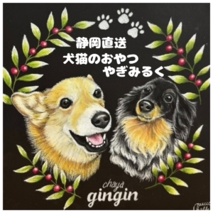 茶屋gingin