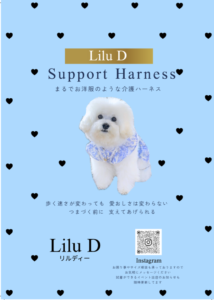 Lilu D