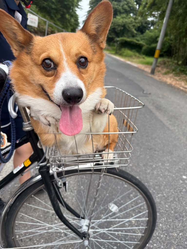 煌介くん