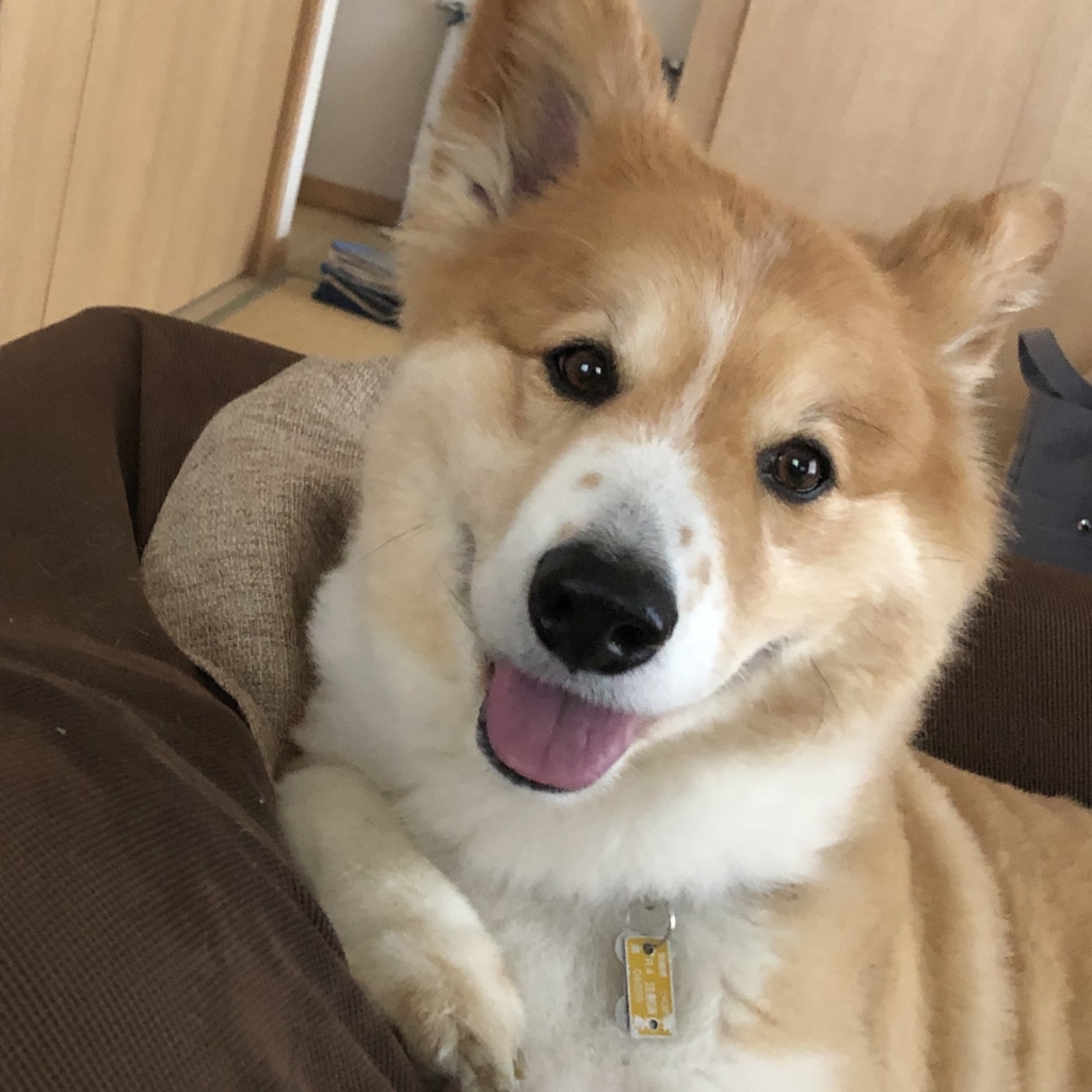 むっちくん
