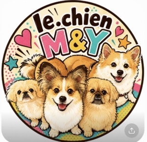 le.chien M&Y