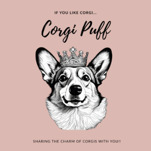 Corgi Puff