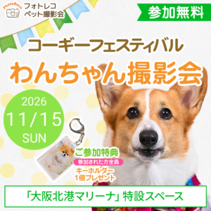 フォトレコペット撮影会＠AUTUMN