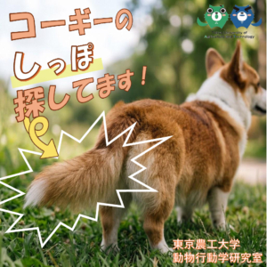 東京農工大学農学府動物行動学研究室